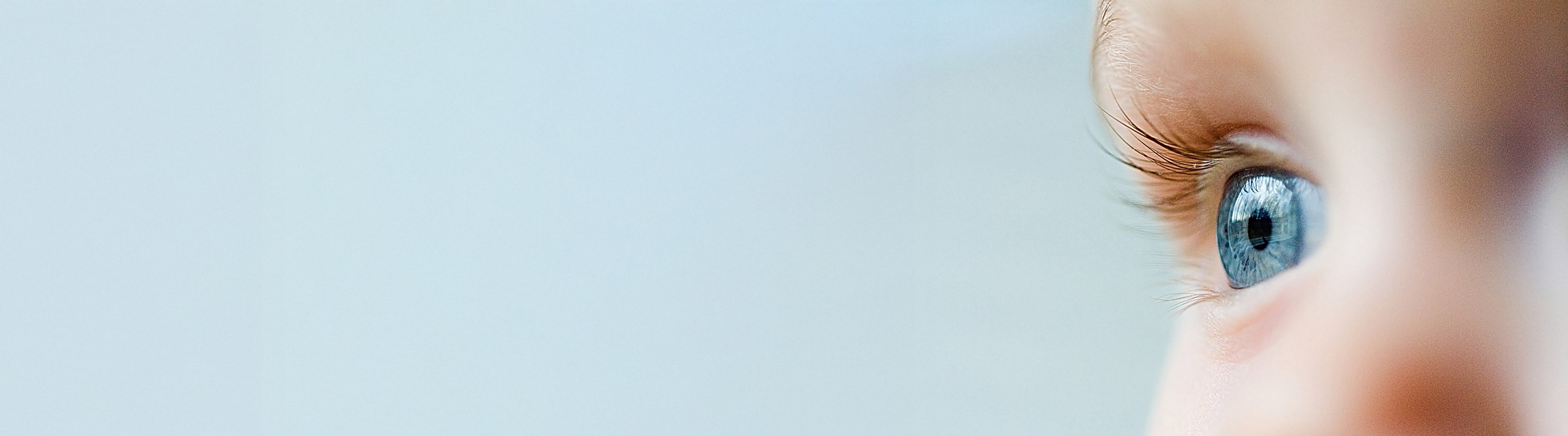 banner5-high-res